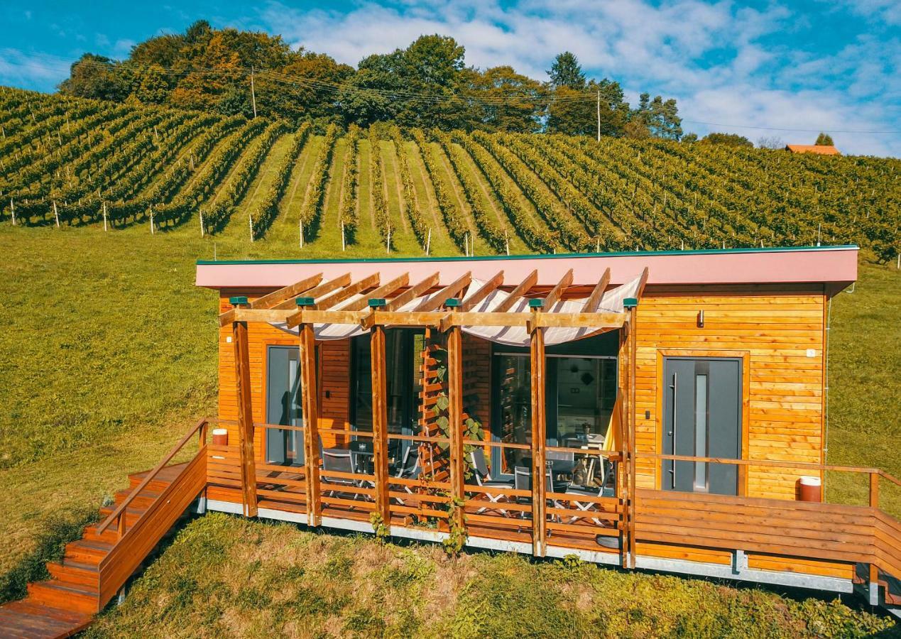 Pesnica pri Mariboru Naturasort Holiday Houses מראה חיצוני תמונה